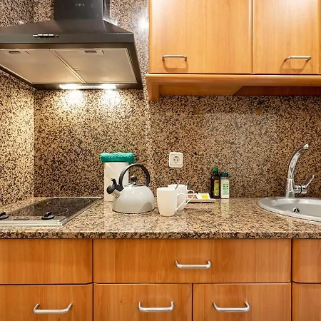 Sata Park Guell Area Apartment Barcelona