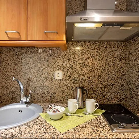 Apartment Sata Park Guell Area *
